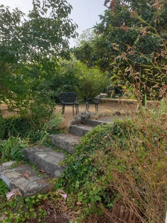Location Gite Dans Le Var Le Thoronet