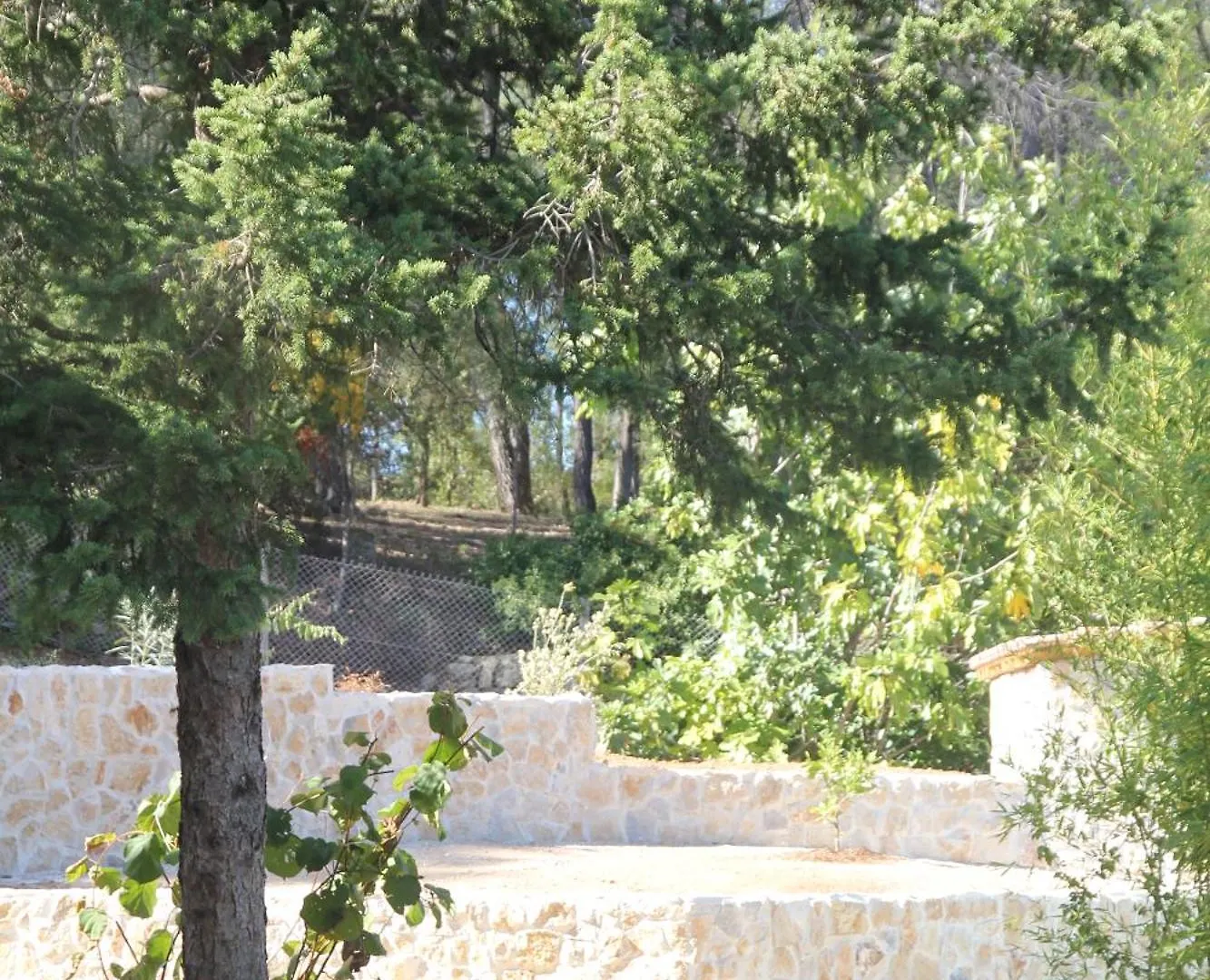 Location Gite Dans Le Var Le Thoronet