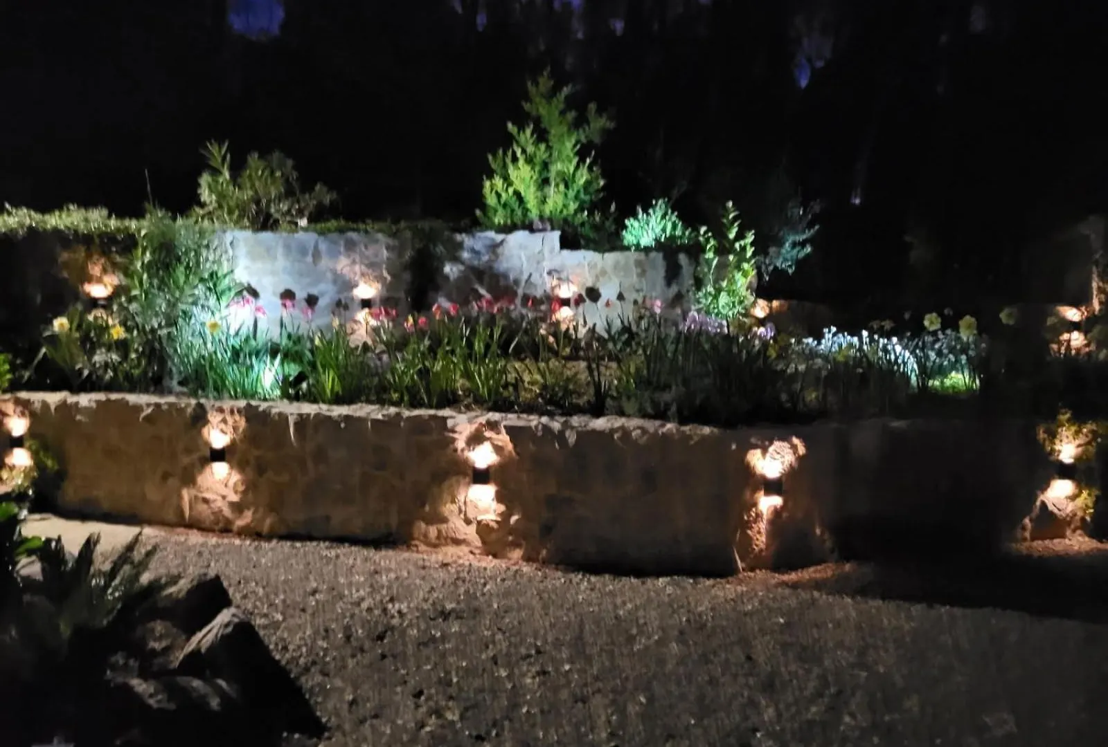 Location Gite Dans Le Var Le Thoronet 0*,
